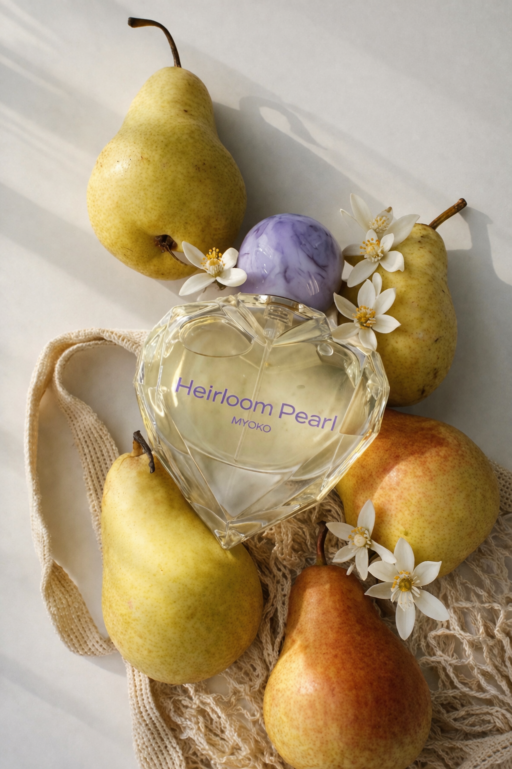 Spring Duo Bundle +free shipping